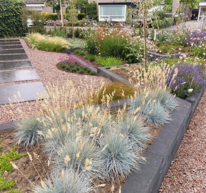 Tuinonderhoud